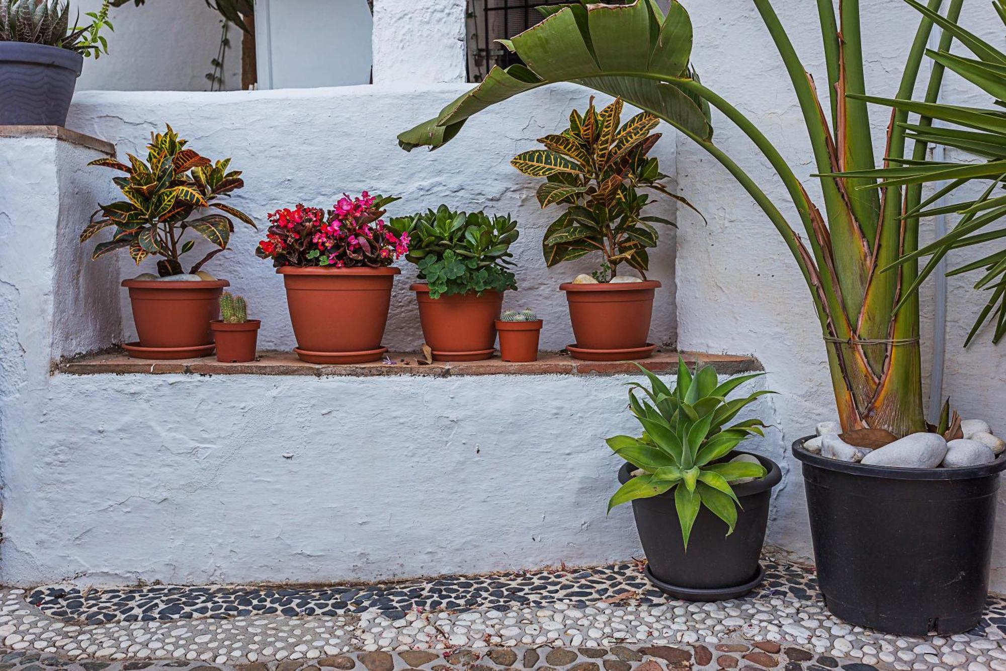 Cute Andalusian Townhouse With Terrace And Views.